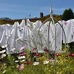 Heimchen 4* Heringsdorf (Usedom)