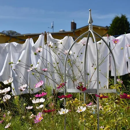 Heimchen 4* ゼーバート・ヘリングスドルフ