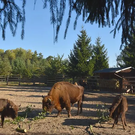 ゲストハウス Heimchen ゼーバート・ヘリングスドルフ