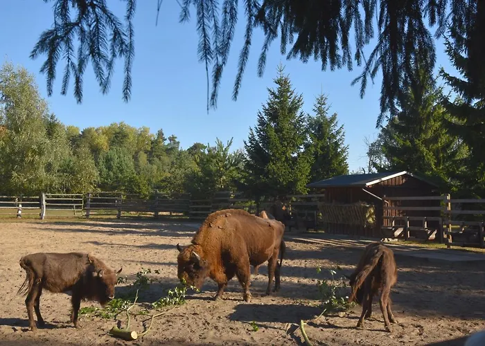Gasthuis Heimchen Heringsdorf (Usedom)